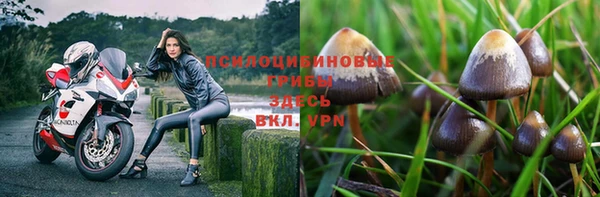 mix Алексеевка
