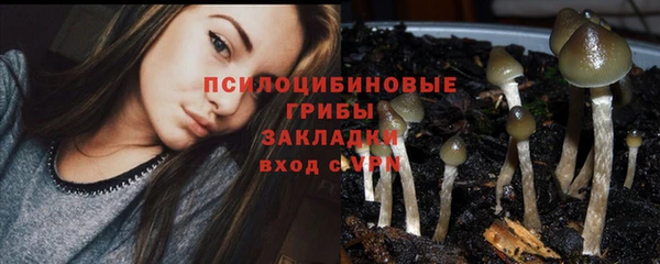 ПСИЛОЦИБИНОВЫЕ ГРИБЫ Алзамай