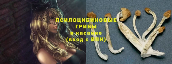 соль ск Нефтегорск