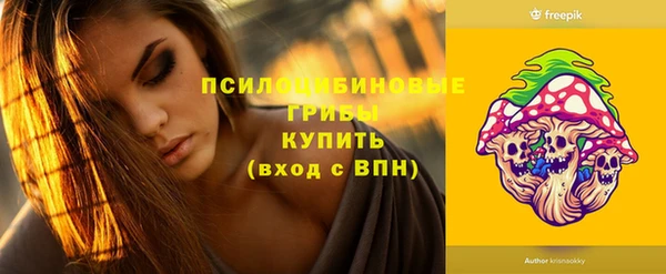 ПСИЛОЦИБИНОВЫЕ ГРИБЫ Алзамай