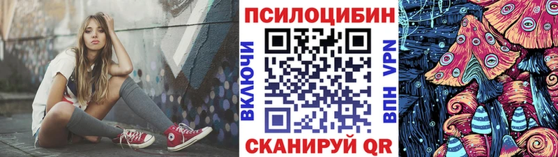что такое   Стародуб  Галлюциногенные грибы мицелий 