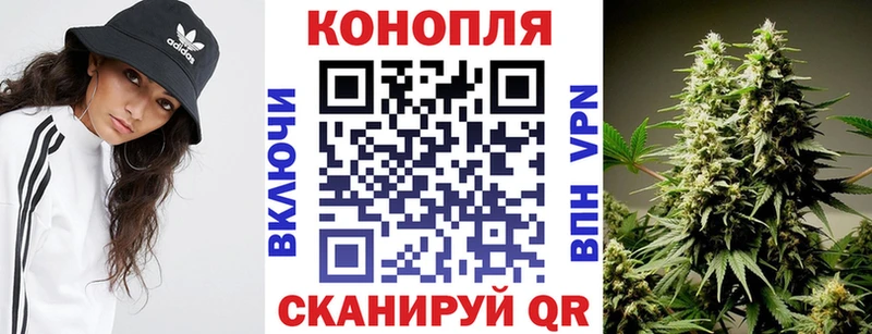 даркнет сайт  Стародуб  Шишки марихуана THC 21% 